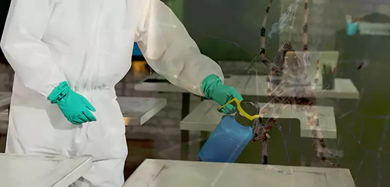 Why Buyers Still Want Homes With Pest Infestations in Fremont, CA?