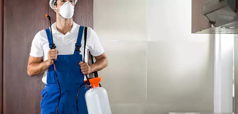 Why Fremont Homeowners Choose Us When Pests Make Selling Difficult